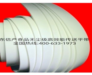 SMB20/WF食品無(wú)塵級(jí)能傳送帶